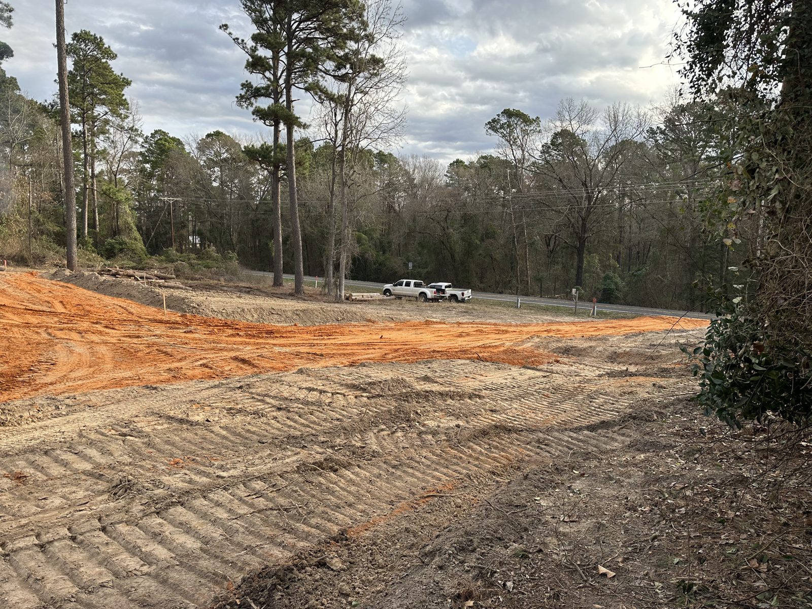 Cleared land along a country road in Wood County, Texas