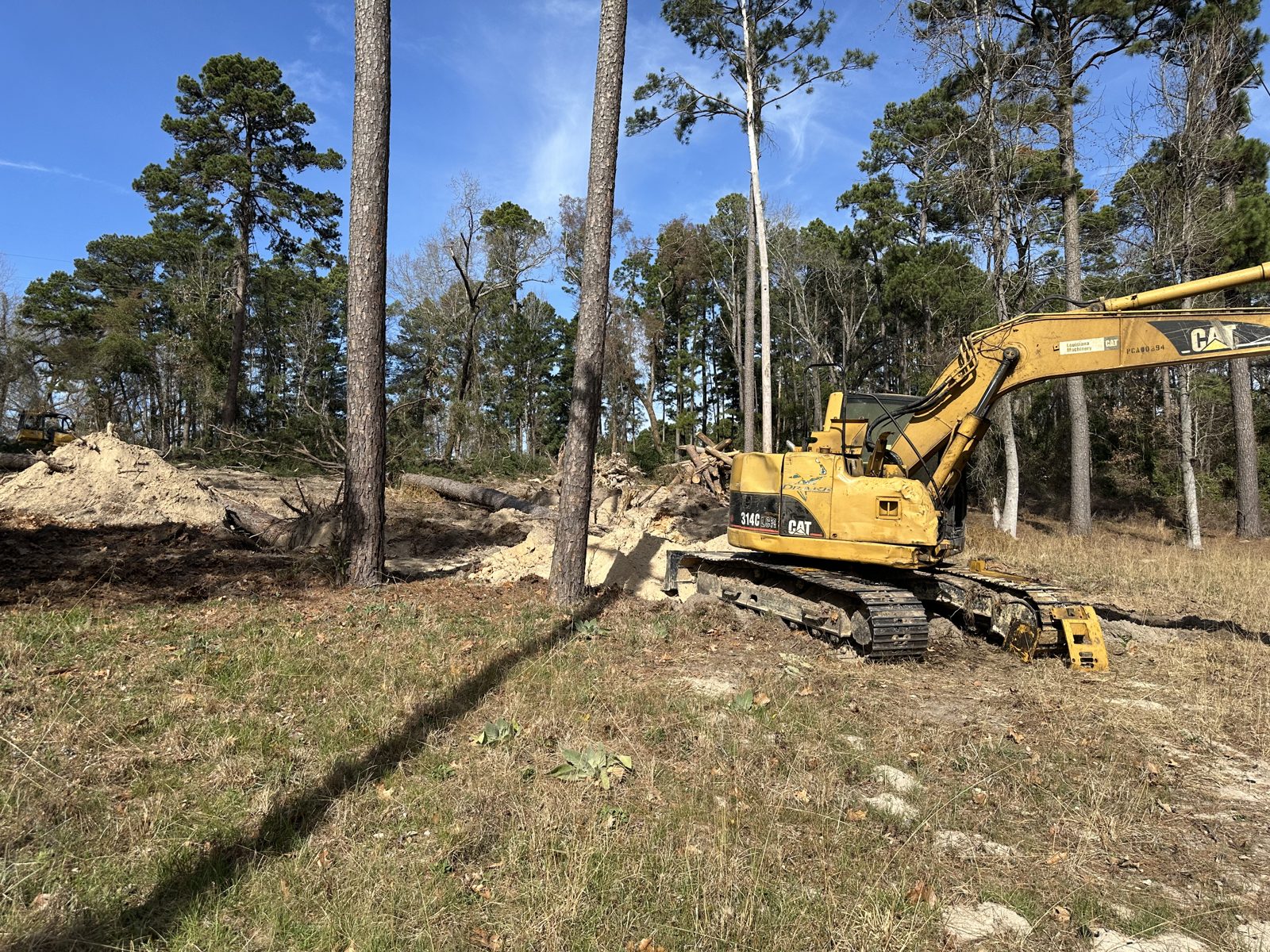 Clearing overgrown land in Wood County, Texas
