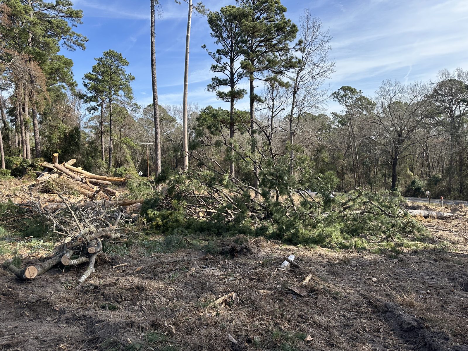 Brush and small trees being cleared in Wood County, Texas