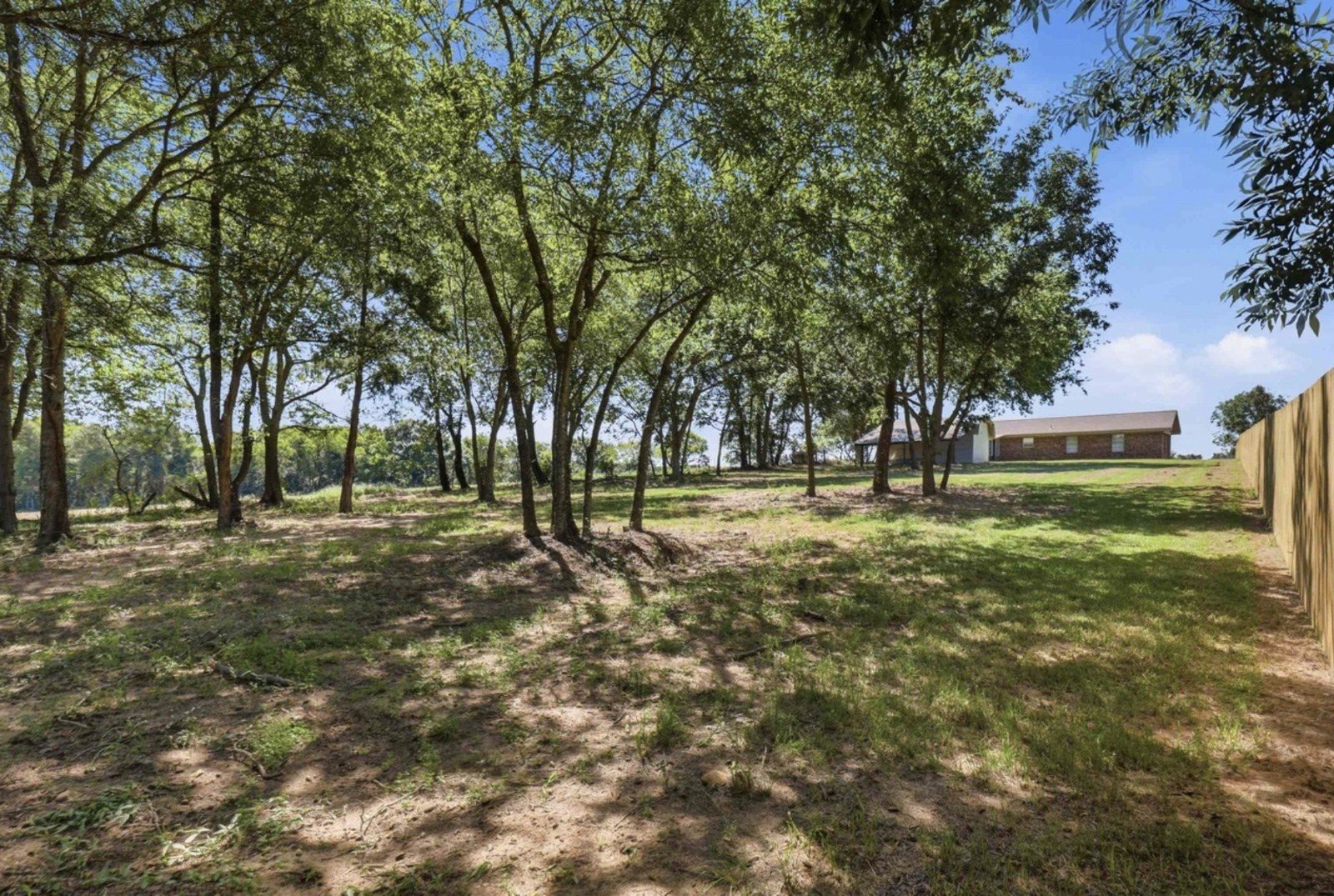 Tree lined yard at the remodeled Hopkins County house